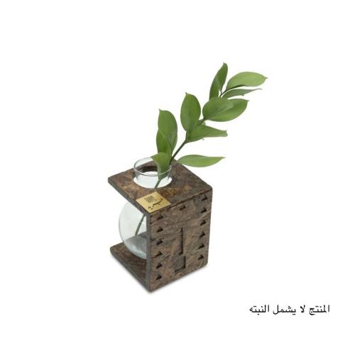 مراكن النباتات